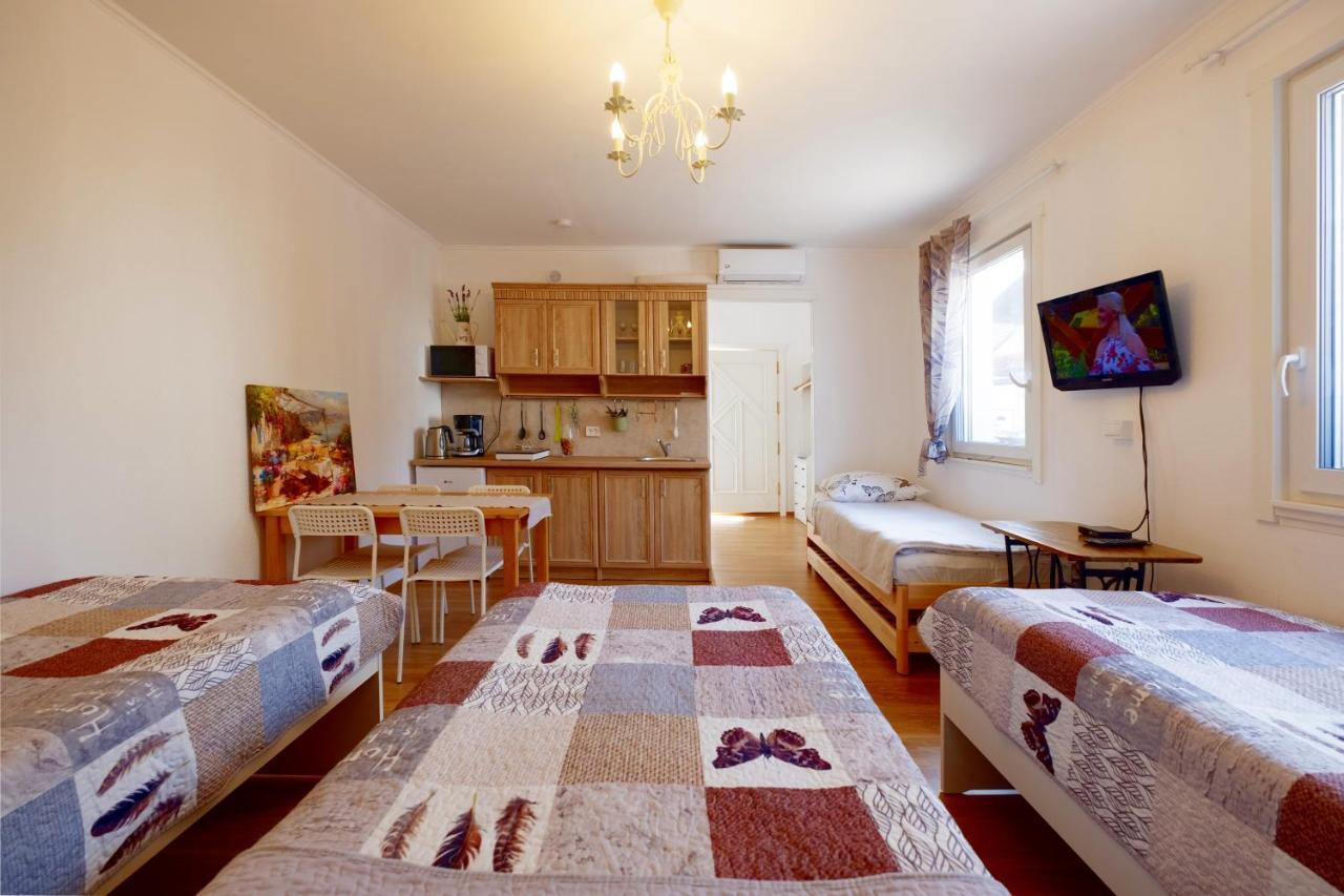 Eco-Lux Apart With Free Bicycles End Free Parking Liubliana Exterior foto