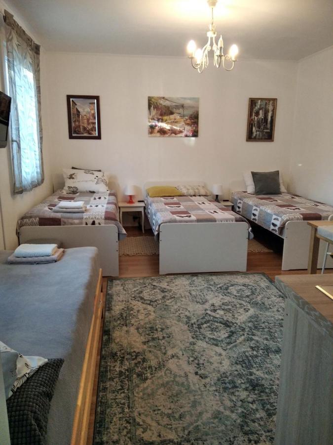 Eco-Lux Apart With Free Bicycles End Free Parking Liubliana Exterior foto