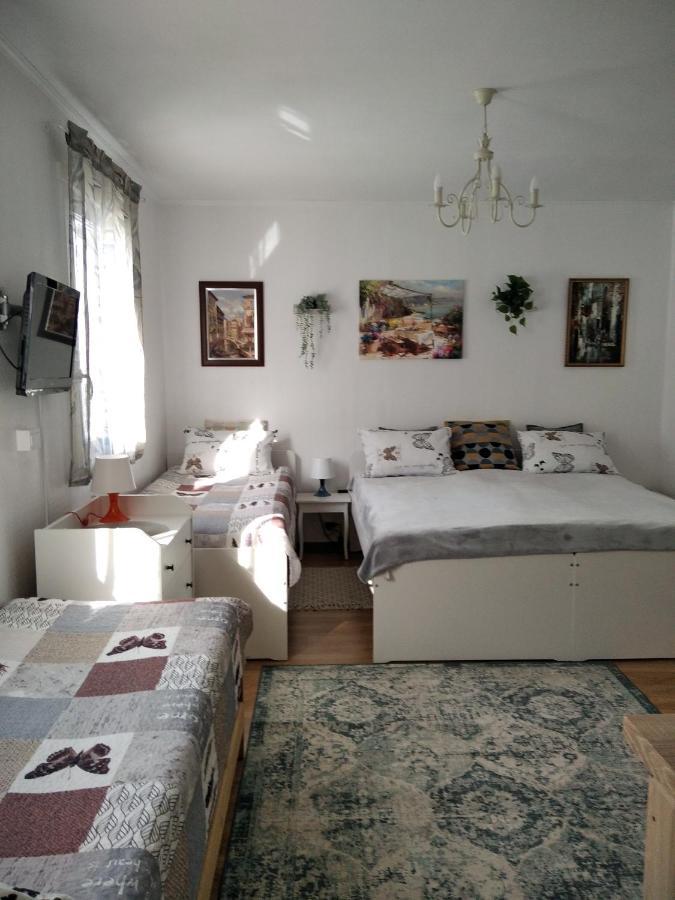 Eco-Lux Apart With Free Bicycles End Free Parking Liubliana Exterior foto