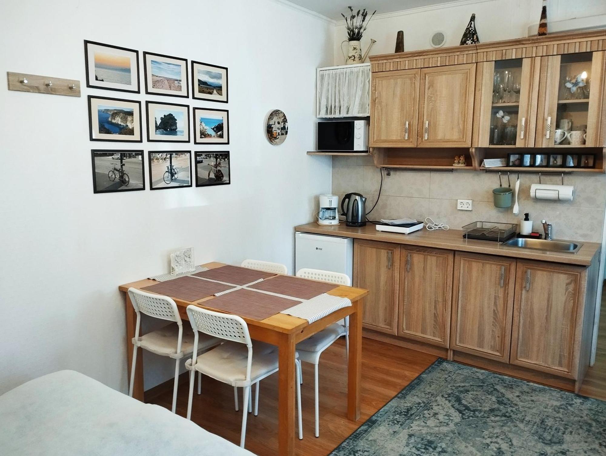 Eco-Lux Apart With Free Bicycles End Free Parking Liubliana Exterior foto